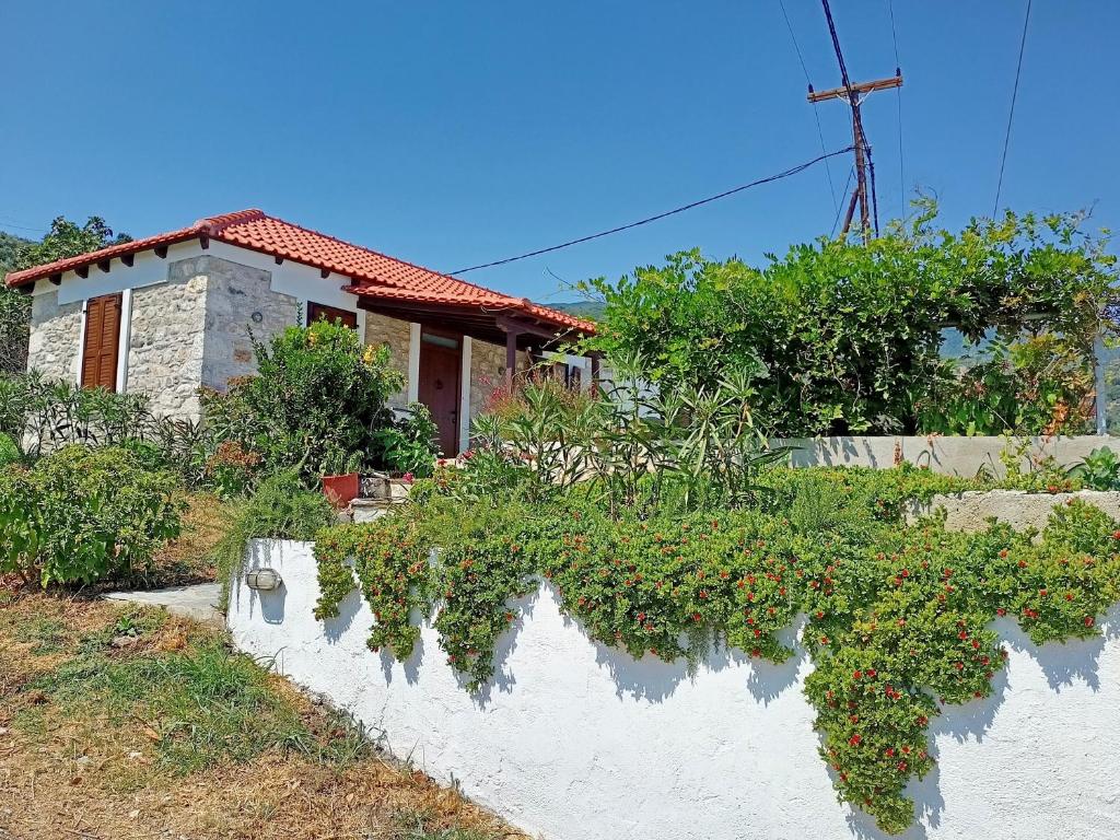 Seaside Villa Eleni photo 2