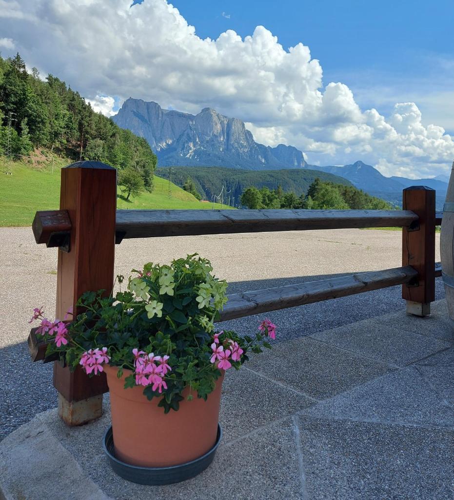 B&B Gasthaus Lieg photo 4
