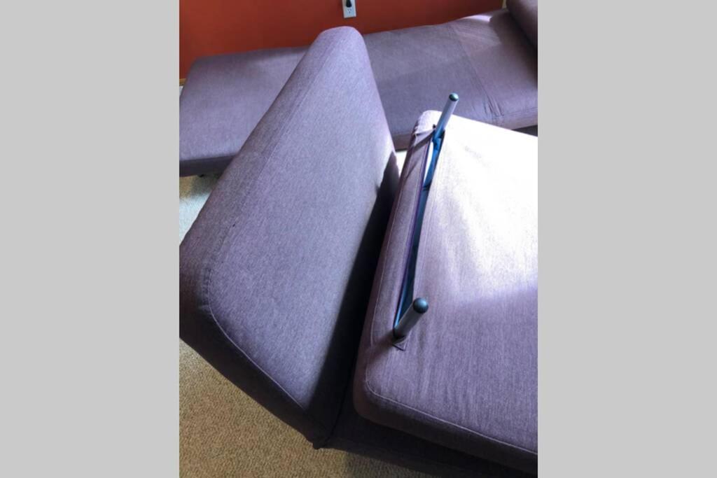 Sunny & Cozy Suite with Pool & Ping Pong table photo 3