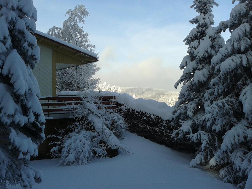Haus Brockenblick photo 1