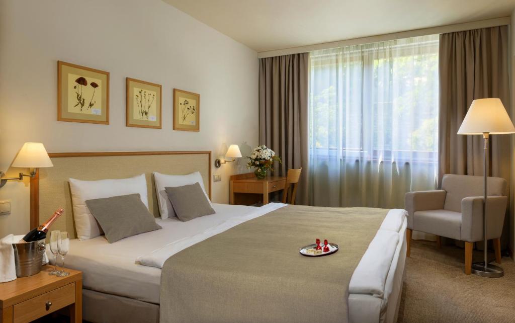 Двухместный (Стандартный двухместный номер с 1 кроватью), Hotel Castle Garden