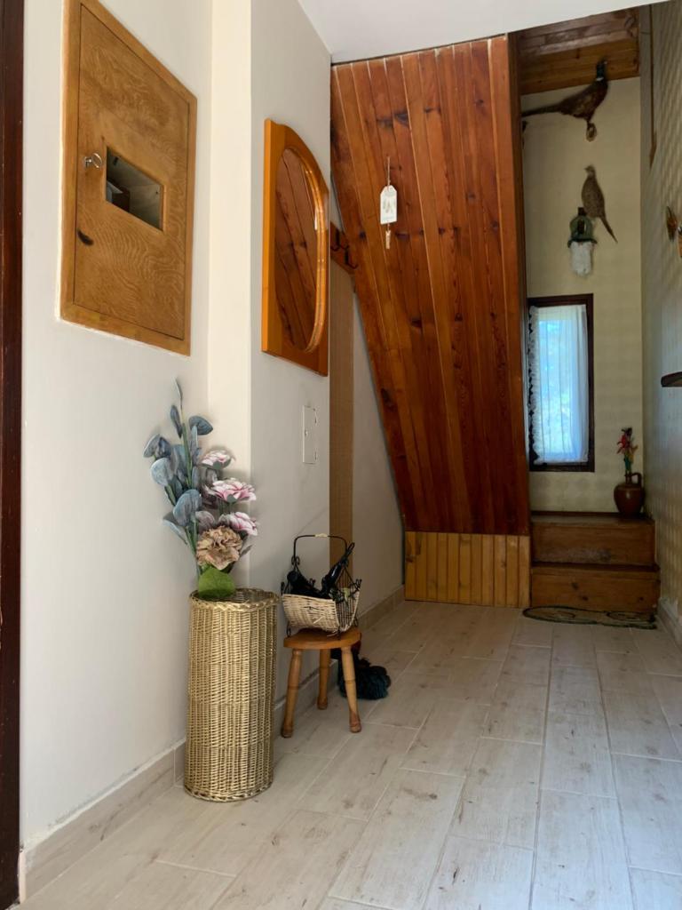 Zlatiborska kuća u šumi photo 1