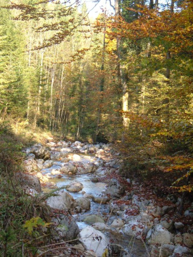 Jaklhof photo 3
