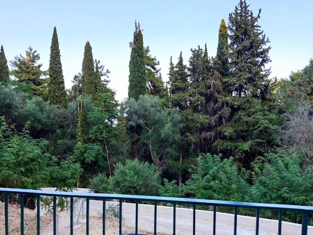 Villa Marianthi Afroditi House in Achillion woods photo 4