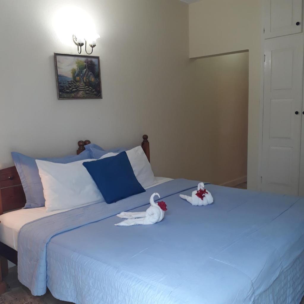 Paradise Inn photo 4