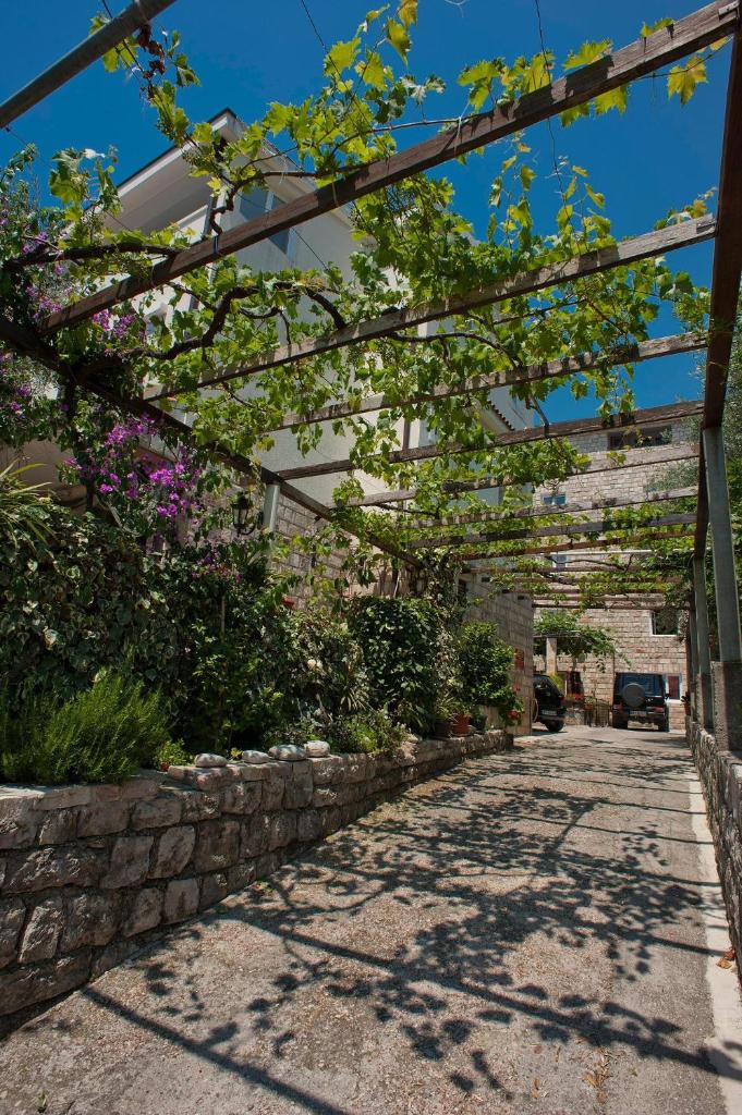 Guest House Maslina photo 1