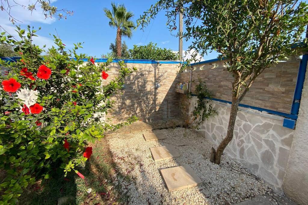 Villa Palma photo 2