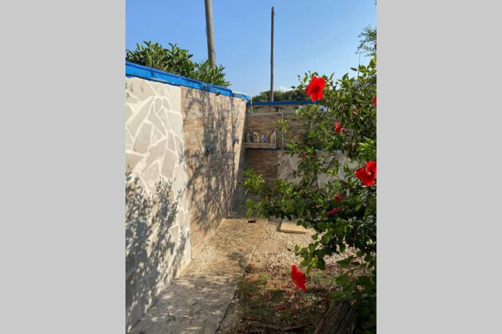 Villa Palma photo 4
