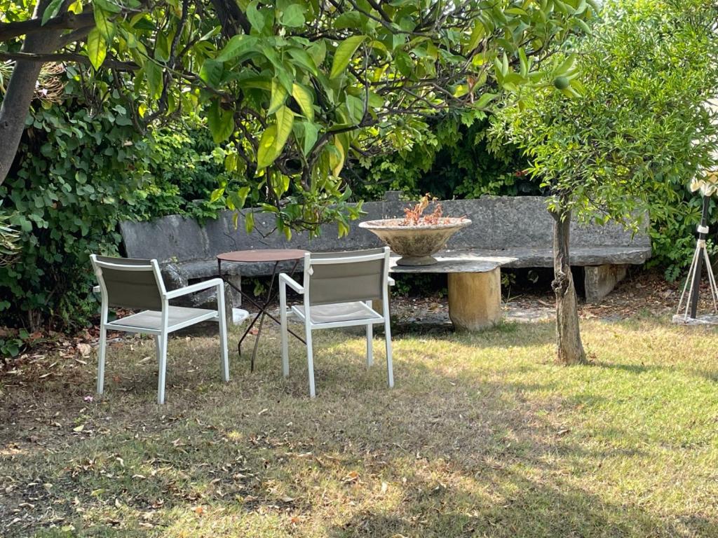 La Petite Maison photo 4
