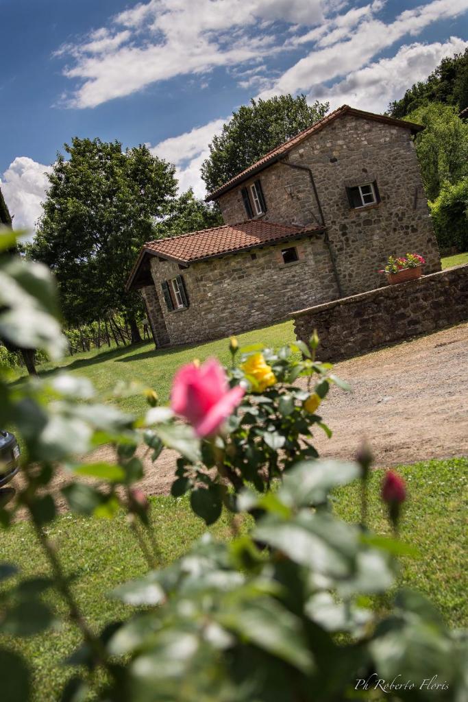 Coriana Apartments & Villas photo 3