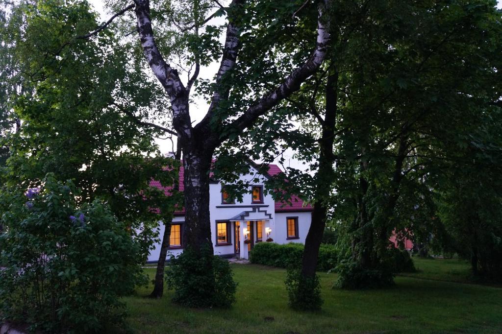 Virulase Holiday Home photo 1