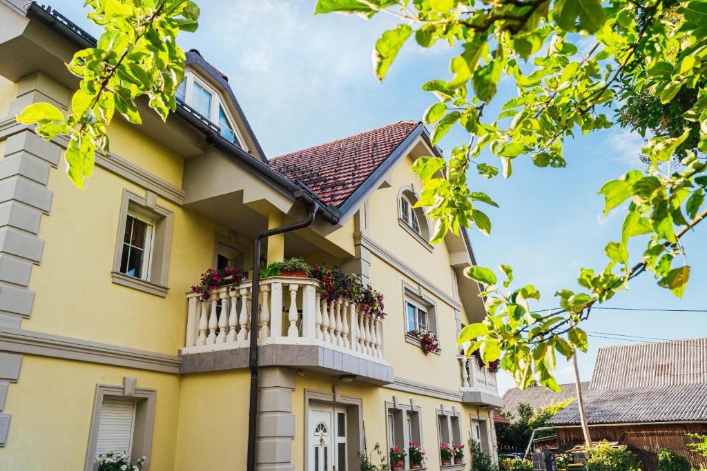 Apartment Sneznik photo 1
