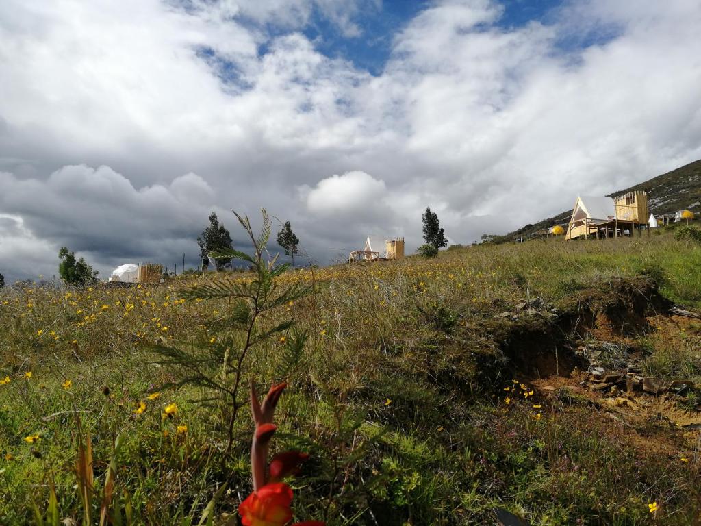 Andes Glamping photo 2