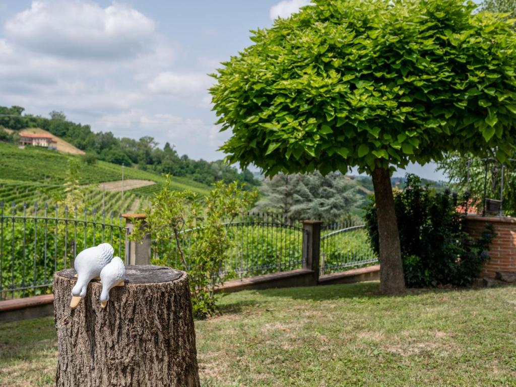 Holiday Home Culla di Stelle by Interhome photo 3