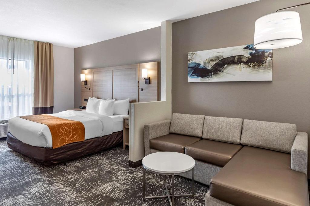 Comfort Suites Anderson-Clemson photo 4