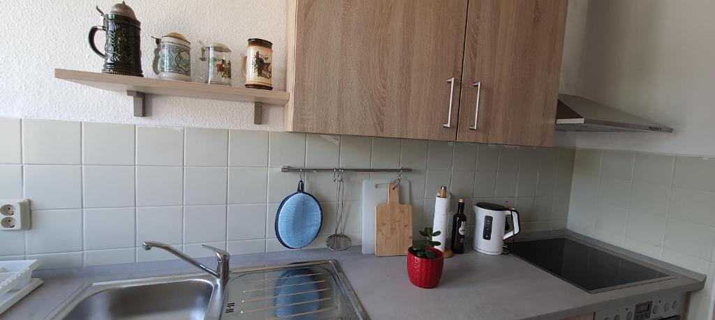 Ferienwohnung Schuur - Harz photo 2