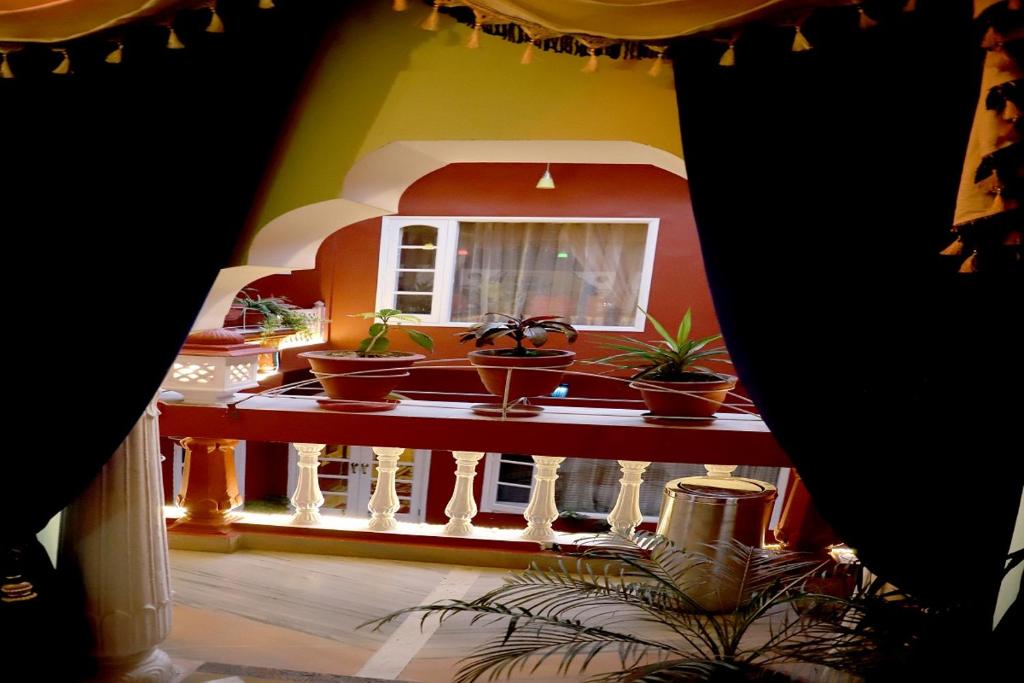 Ganesha Palace photo 2
