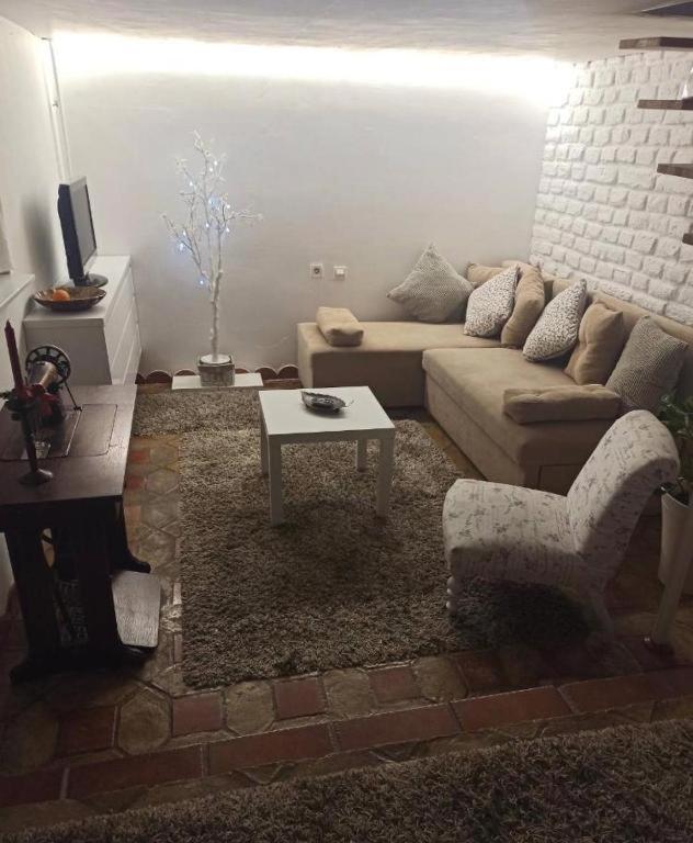 Apartments Carica photo 3