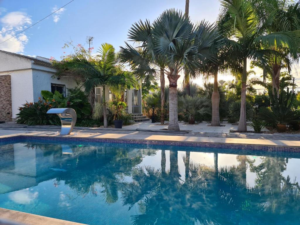 Tropical Paradise Villa in Torrevieja photo 1