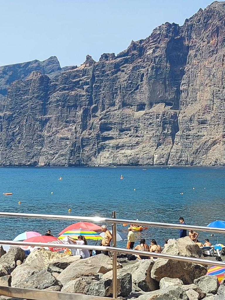 Los Gigantes apartment 113, 1 bedroom photo 2