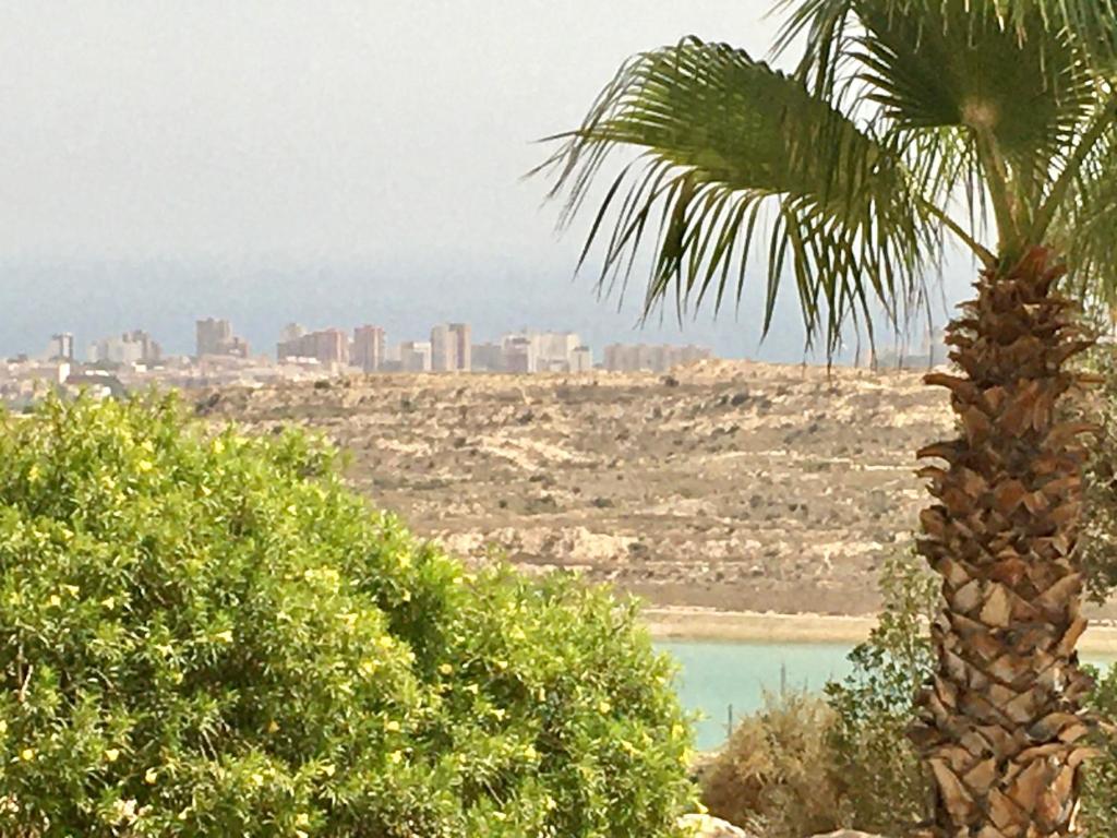 Apartamento Bonalba, Golf, Playas y Piscinas photo 2