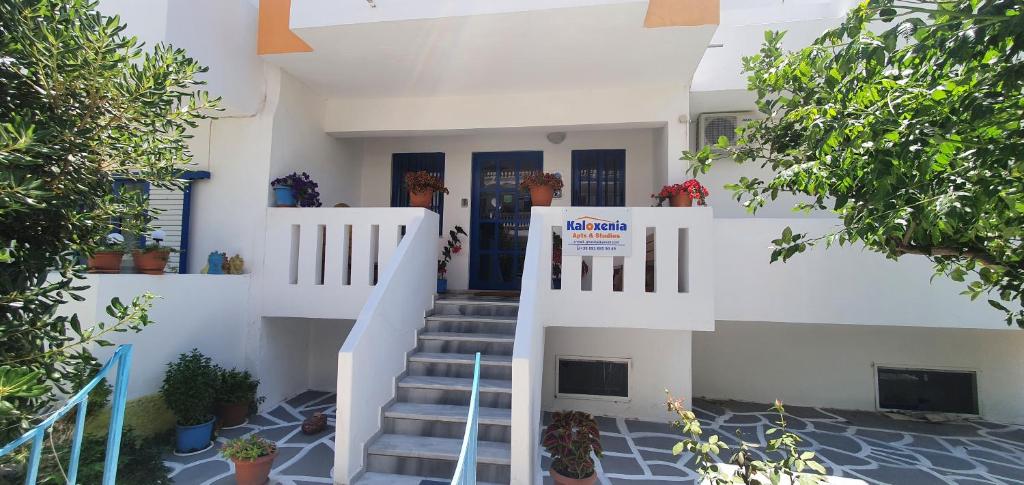 Kaloxenia photo 4