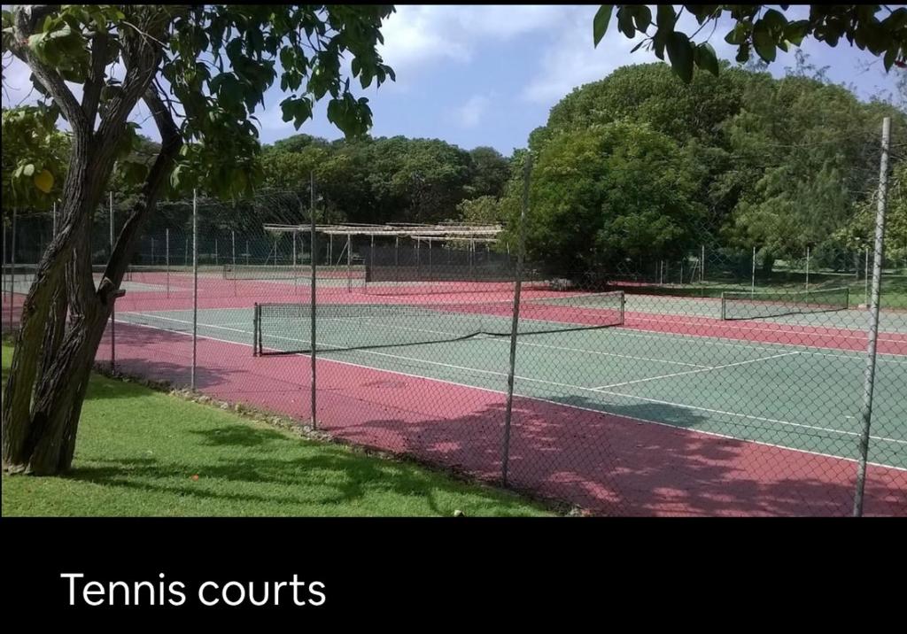 230 GG Rockley Barbados photo 2