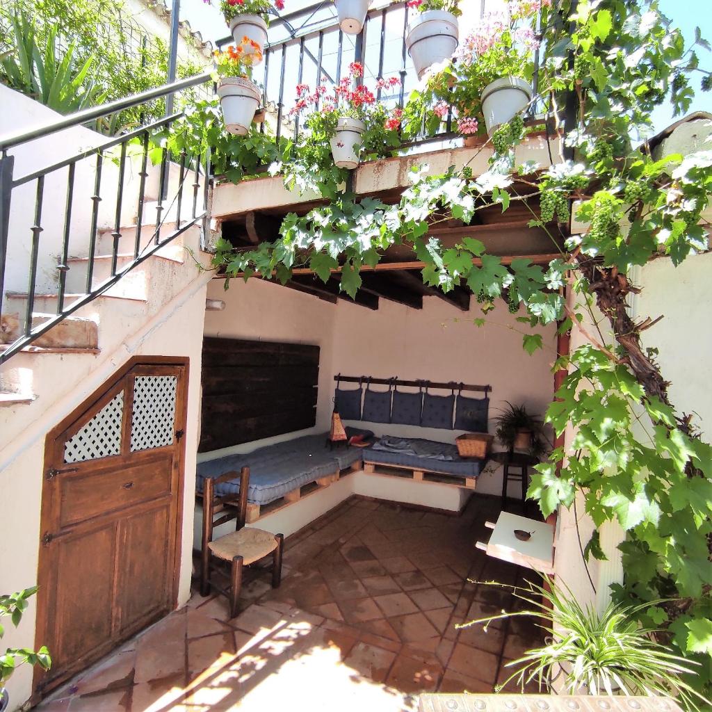 LA CASA DE CHABELI photo 1