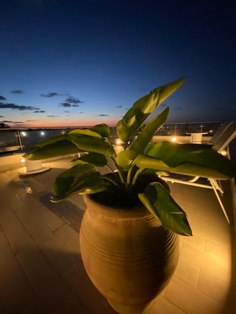 B&B Torre Pozzillo photo 4