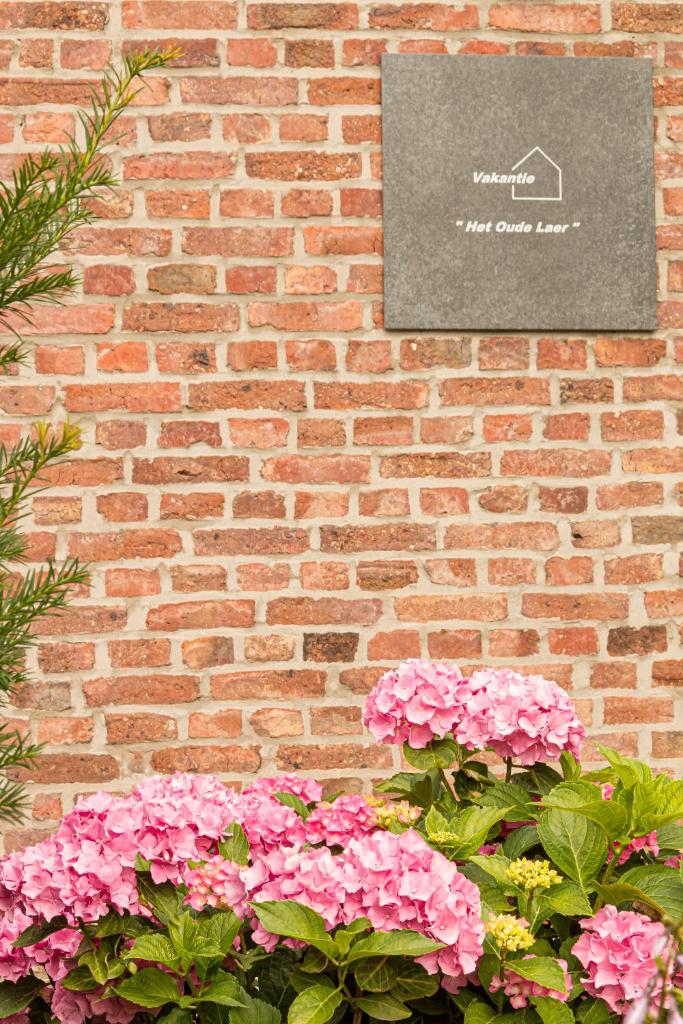Vakantiewoning Het Oude Laer photo 4