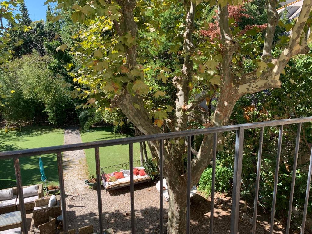 Le Transvaal-Maison d'Hôtes photo 1