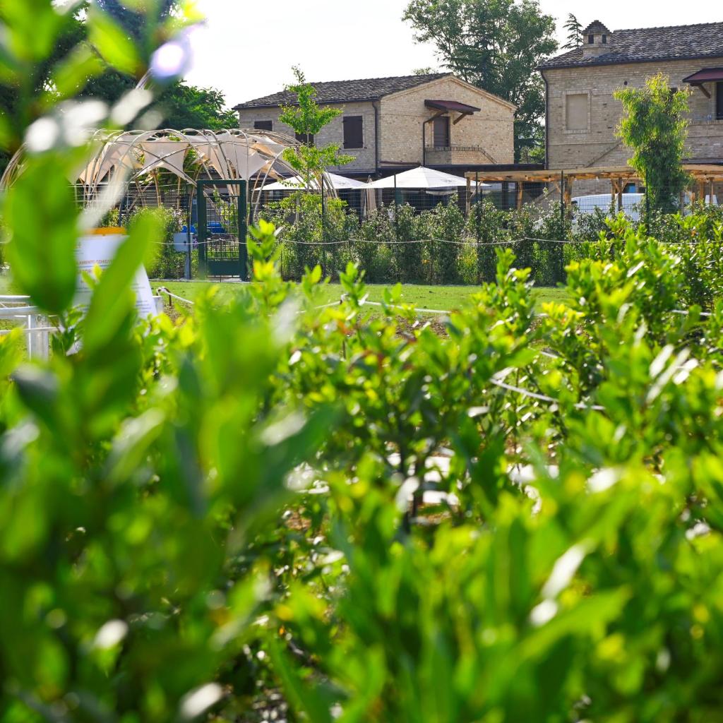 Moretti Village - B&B photo 2