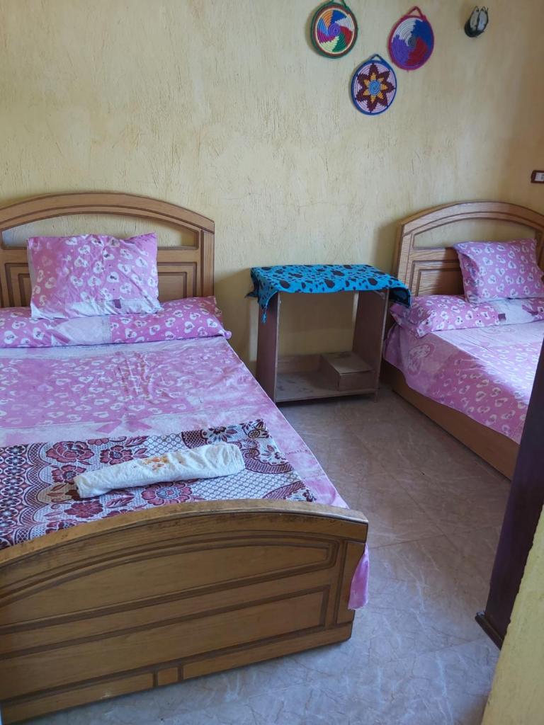 Otasho Nile view house Room Type - Twin Room