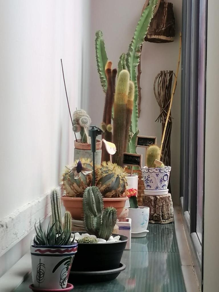 Casa Ruiz photo 2