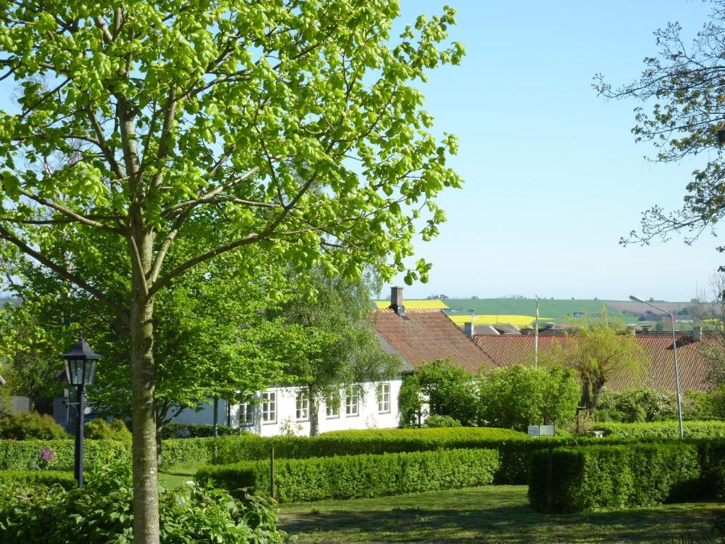 Kronobergs Gård i Gladsax photo 2