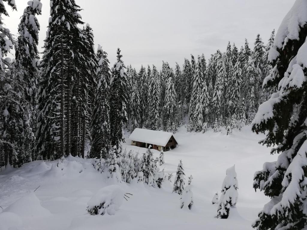 Haus Lagma Studio photo 3