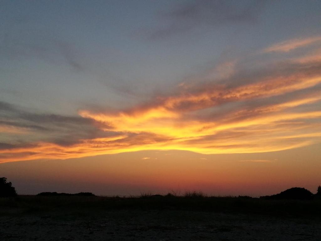 B&B sul Mare photo 1