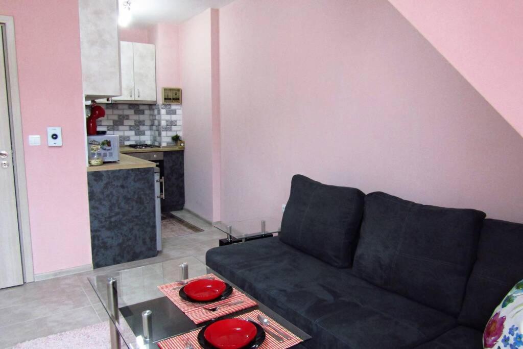 New & Comfortable home in Blagoevgrad center photo 2