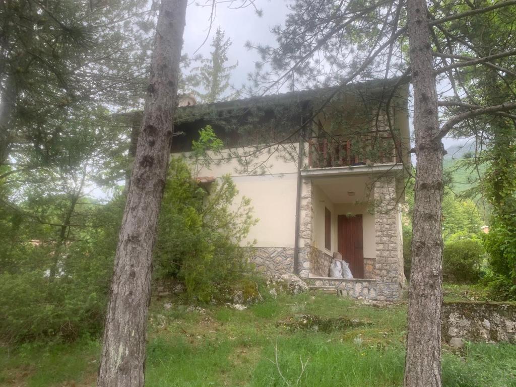 Esclusivo chalet immerso nel verde photo 1