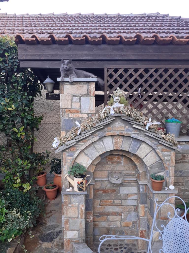 Traditional Maisonette In Pelion photo 4