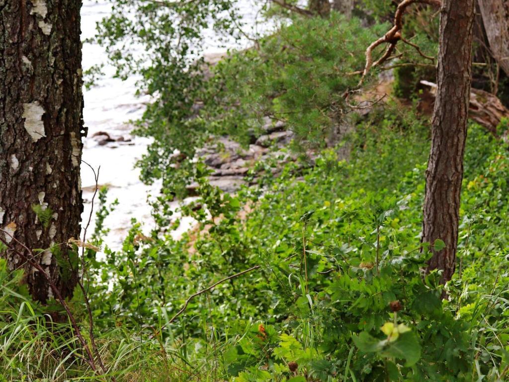 Holiday home DALS-LÅNGED photo 4