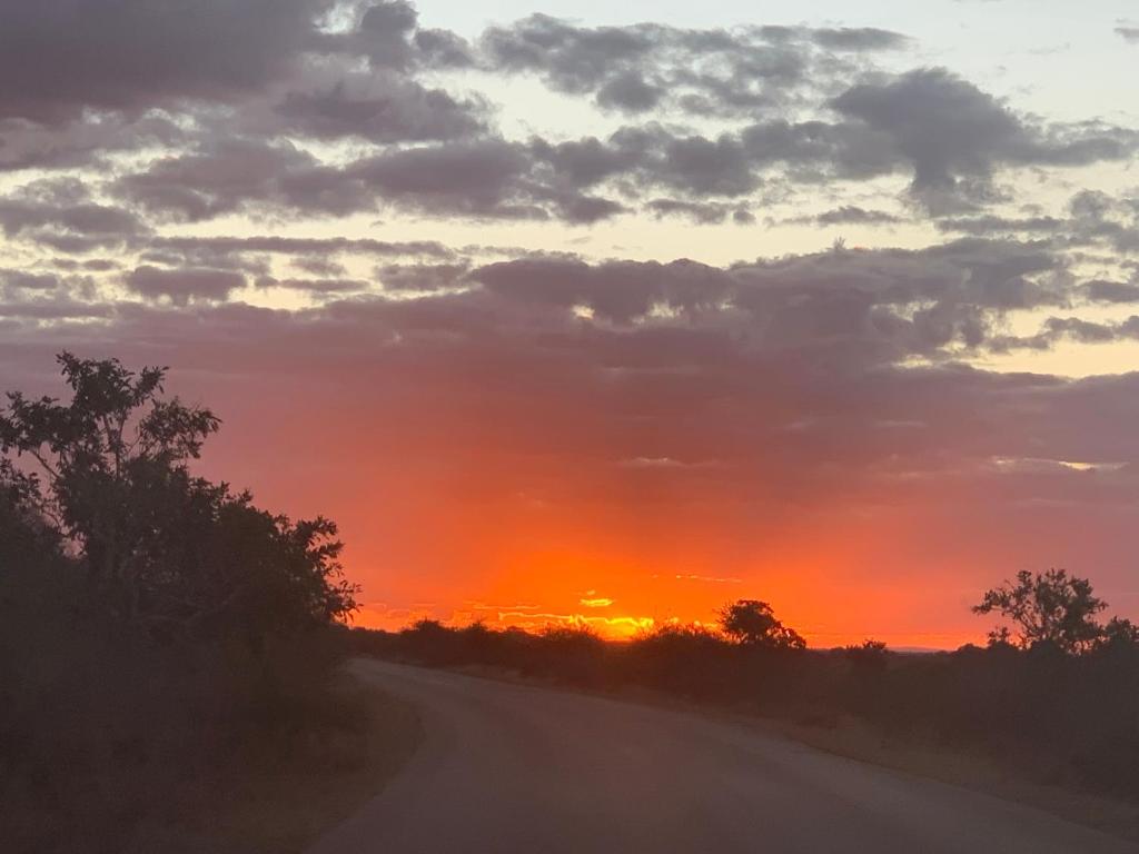 Kruger River Lodge photo 4