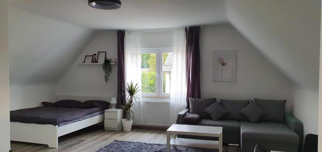 Bonn/Königswinter ferienwohnung photo 3