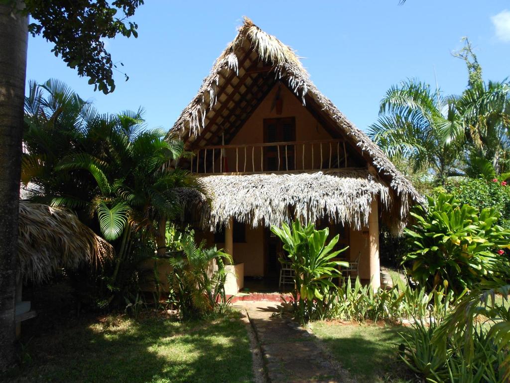 Casa 3 amigos-Palm roofed house photo 3