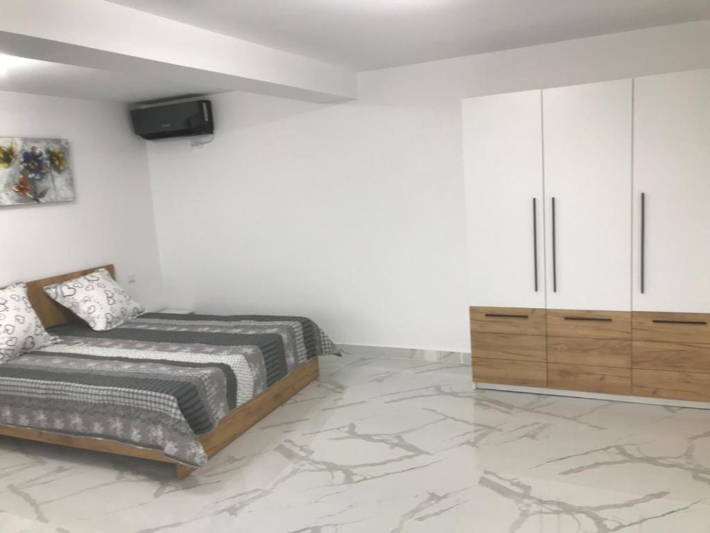 Casa Bacestianu photo 1