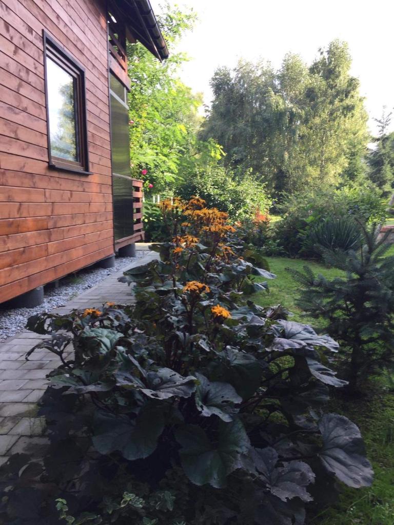 Domek Nad Brzegiem photo 2