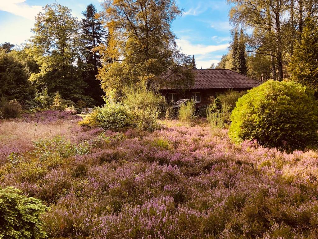 Landhaus mitten in der Lüneburger Heide photo 2