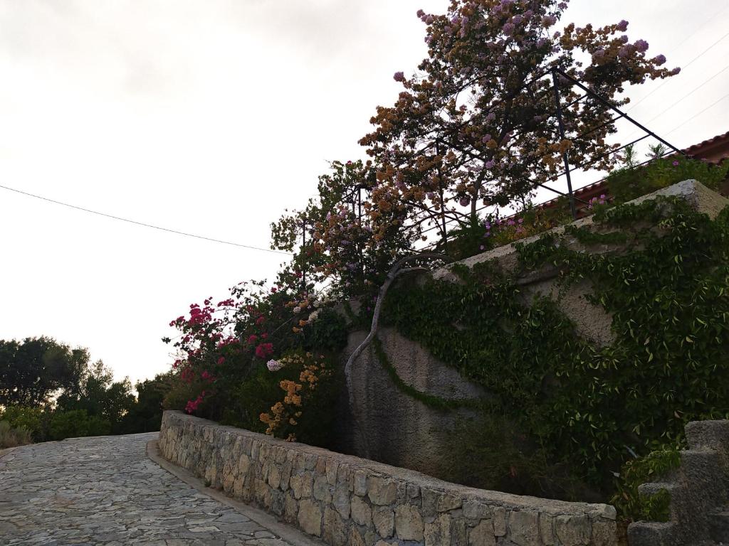 Villa Tsapoula photo 3