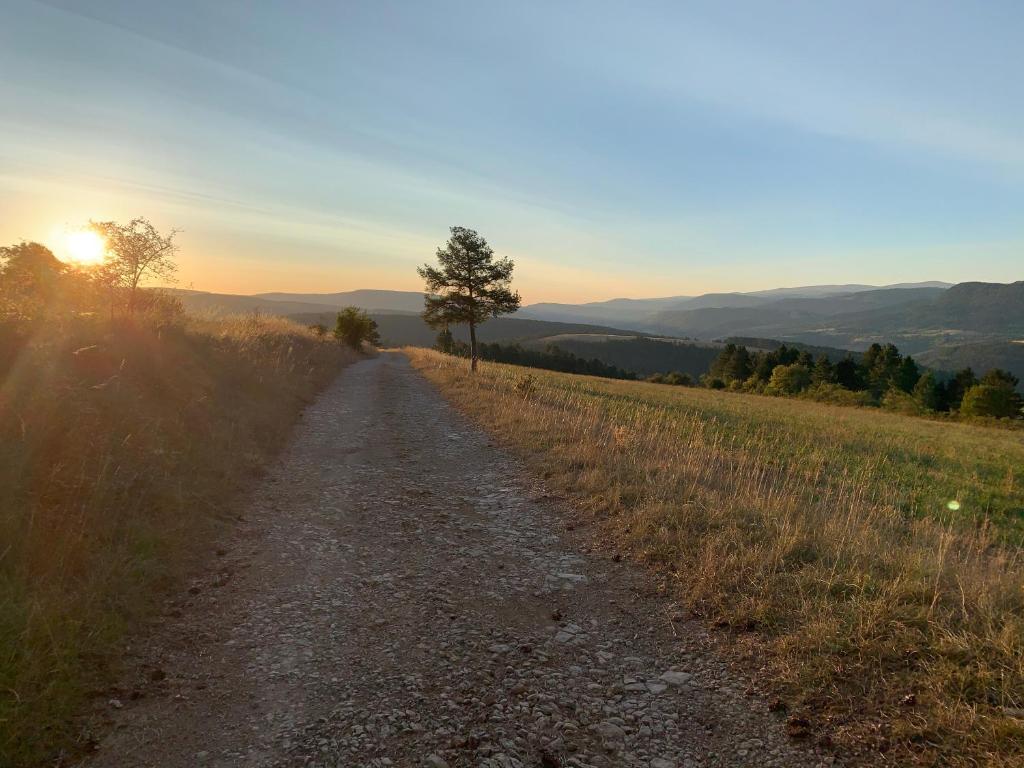 L'Orée des Pignes photo 2
