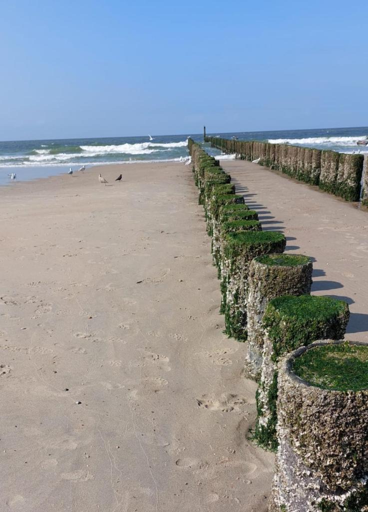 de Notenbalk aan Zee photo 2